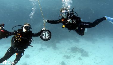 Best Times to Visit Hurghada for an Unforgettable Diving Trip