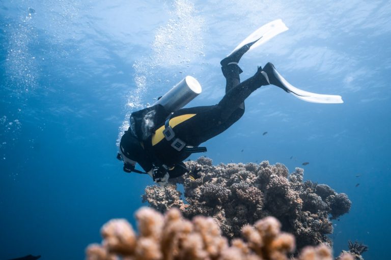 Diving Trip to Hurghada
