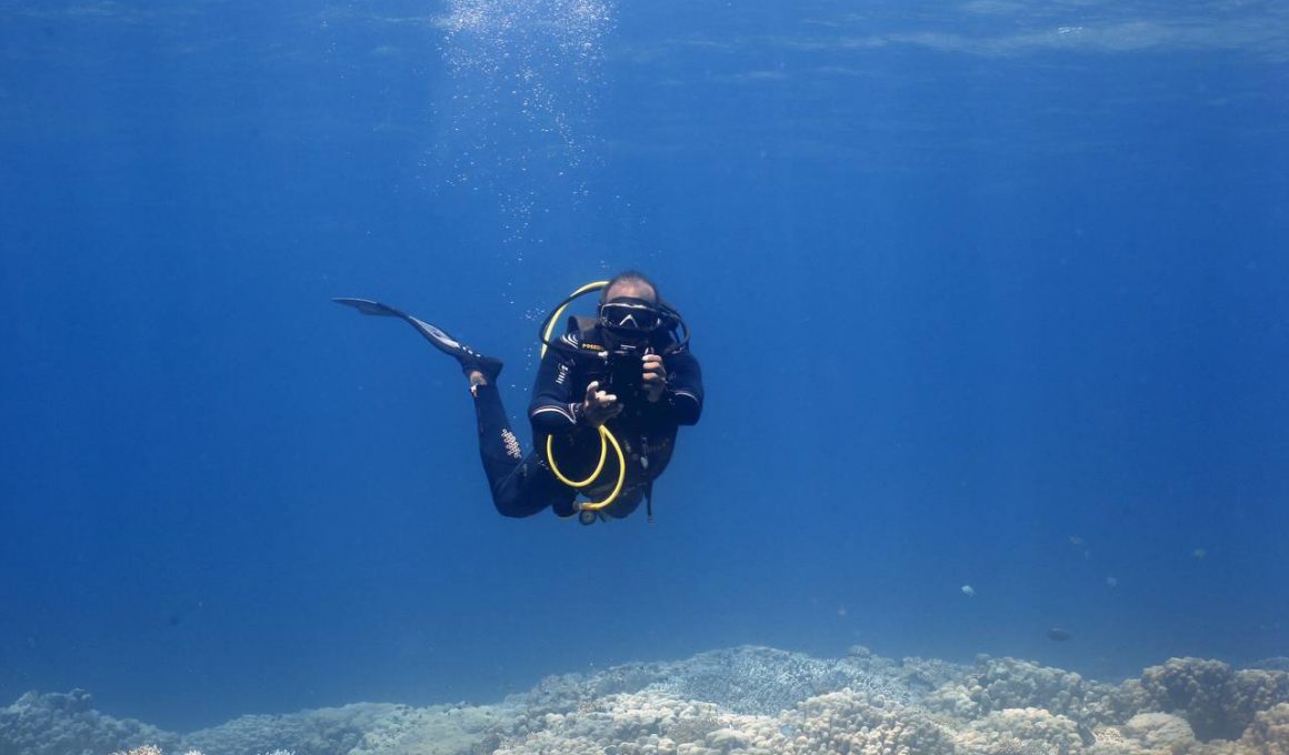 Care curs SSI este perfect pentru antrenamentul de scufundări în Hurghada