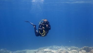 Quel cours SSI est parfait pour la formation de plongée sous-marine à Hurghada