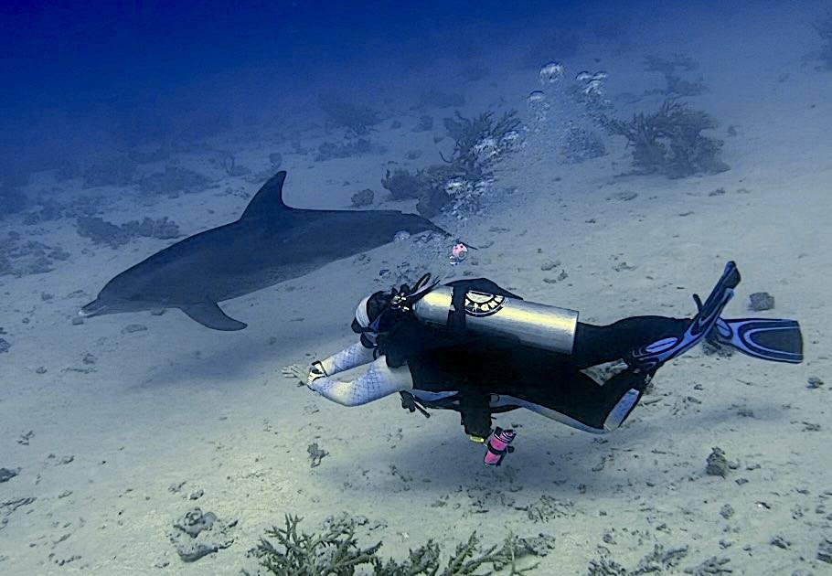 Diving in Hurghada and Why Is It So Popular