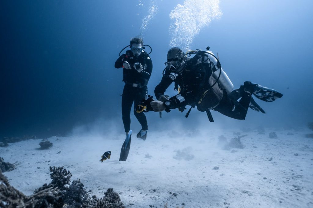 Diving in Hurghada Price List for Scuba Diving in Hurghada