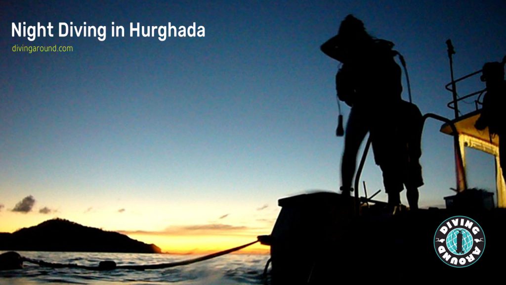 Night Diving in Hurghada