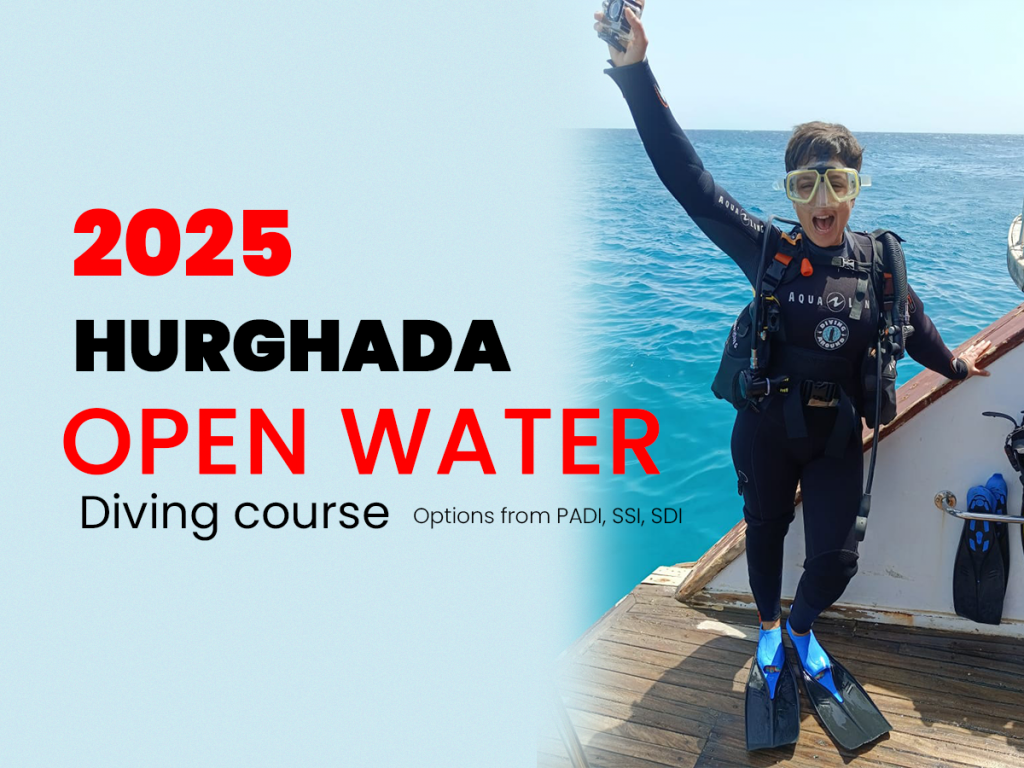 Hurghada Diving Open Water Course Price 2025