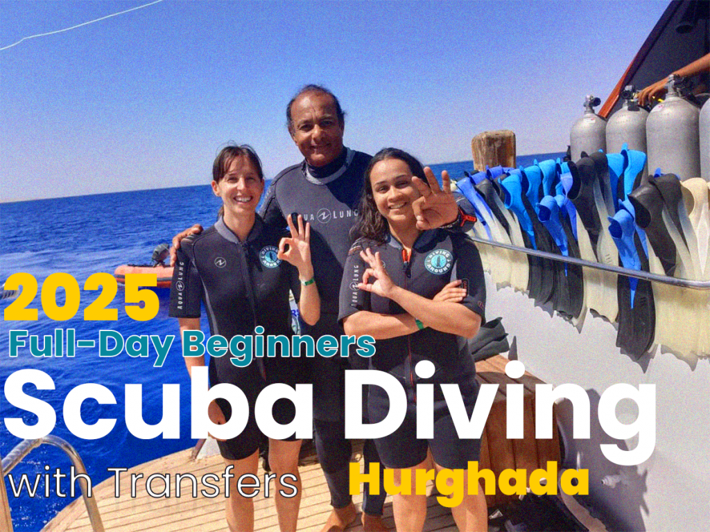 Hurghada Full-Day Beginners Scuba Diving with Transfers 2025