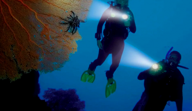 Two divers trying to discover marine life in hurghada