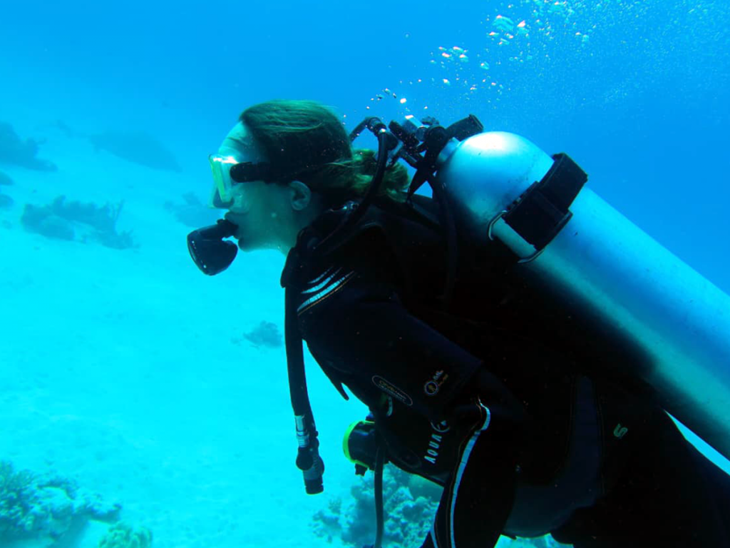 Water temperature chart Egypt diving by month seasonal guide