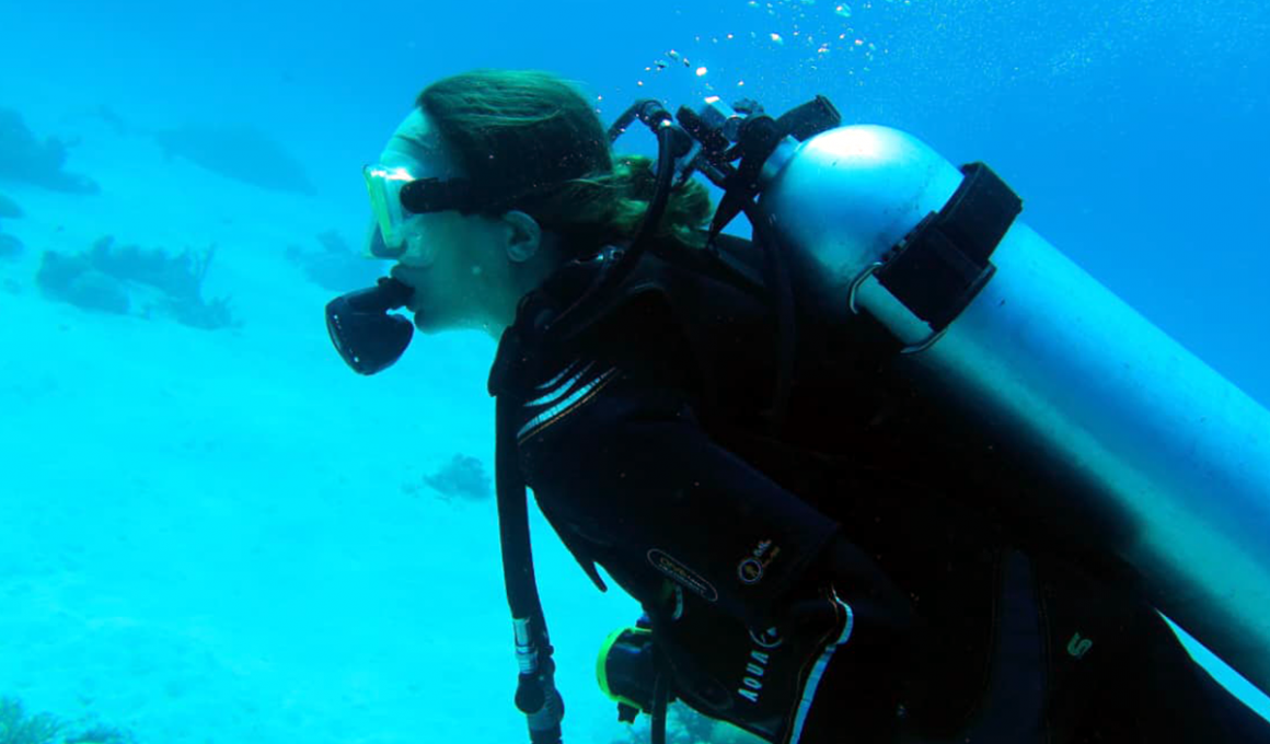 Water temperature chart Egypt diving by month seasonal guide