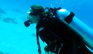 Water temperature chart Egypt diving by month seasonal guide