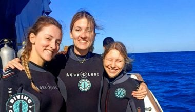 Dive boat in the Red Sea for introductory diving trips
