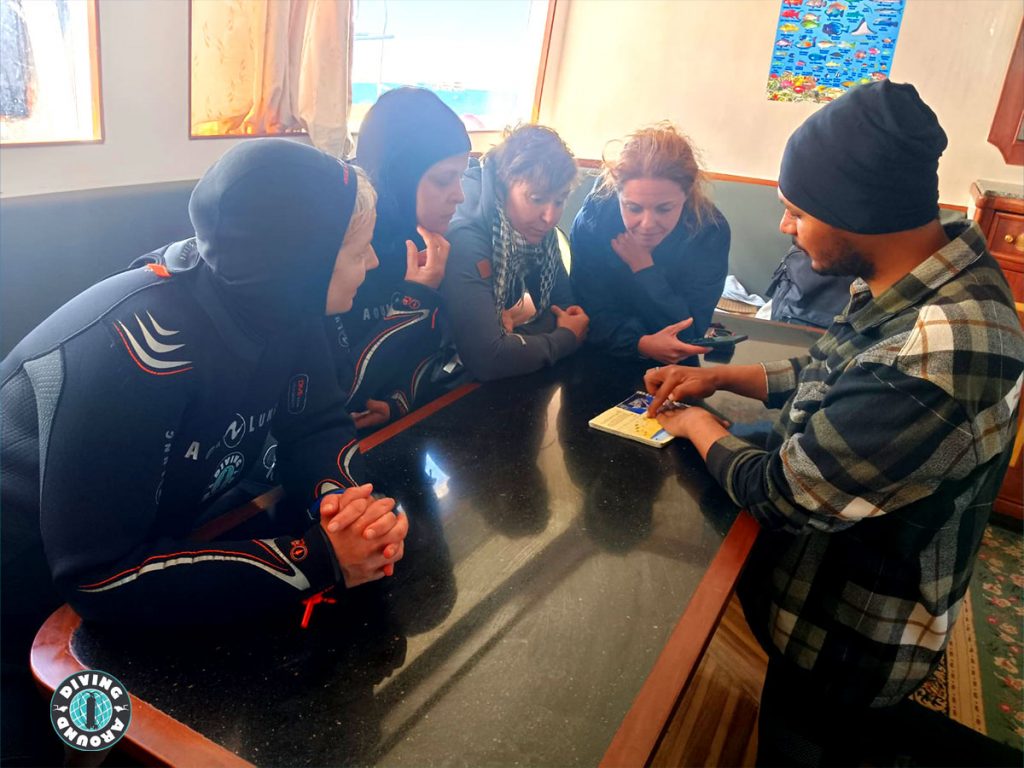 Dive guide pointing out a hidden moray eel during a guided dive in Hurghada.
