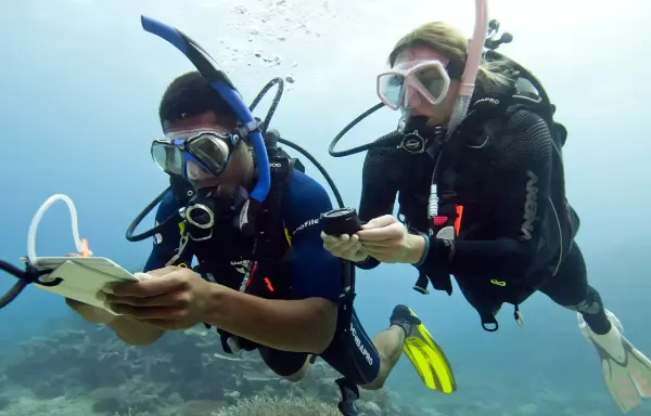 Underwater Navigator Course