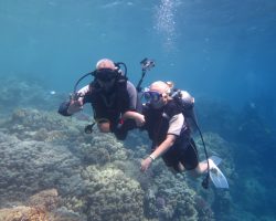 Scuba Diver course advanced open water diver
